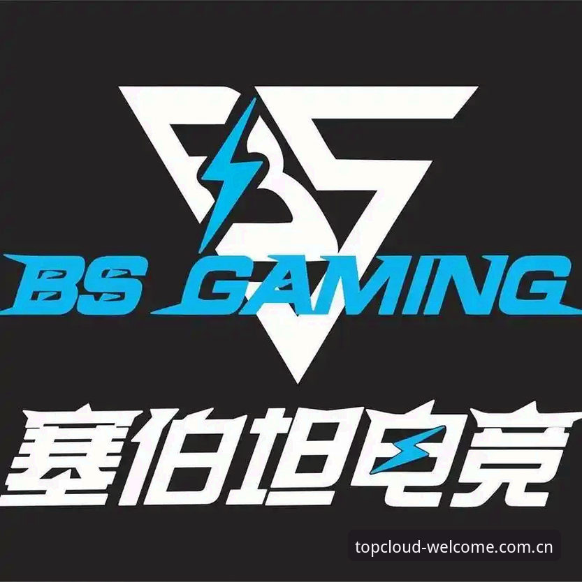 云顶电竞平台 vs 传统官网：哪种安装方式更省心？