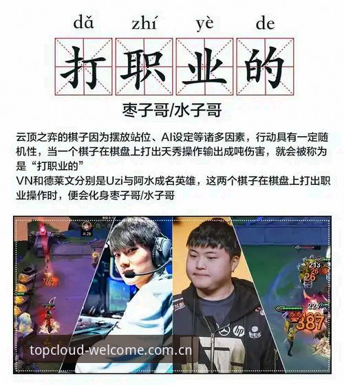 揭秘云顶电竞平台背后的真实体验：一个实战派的深度测评